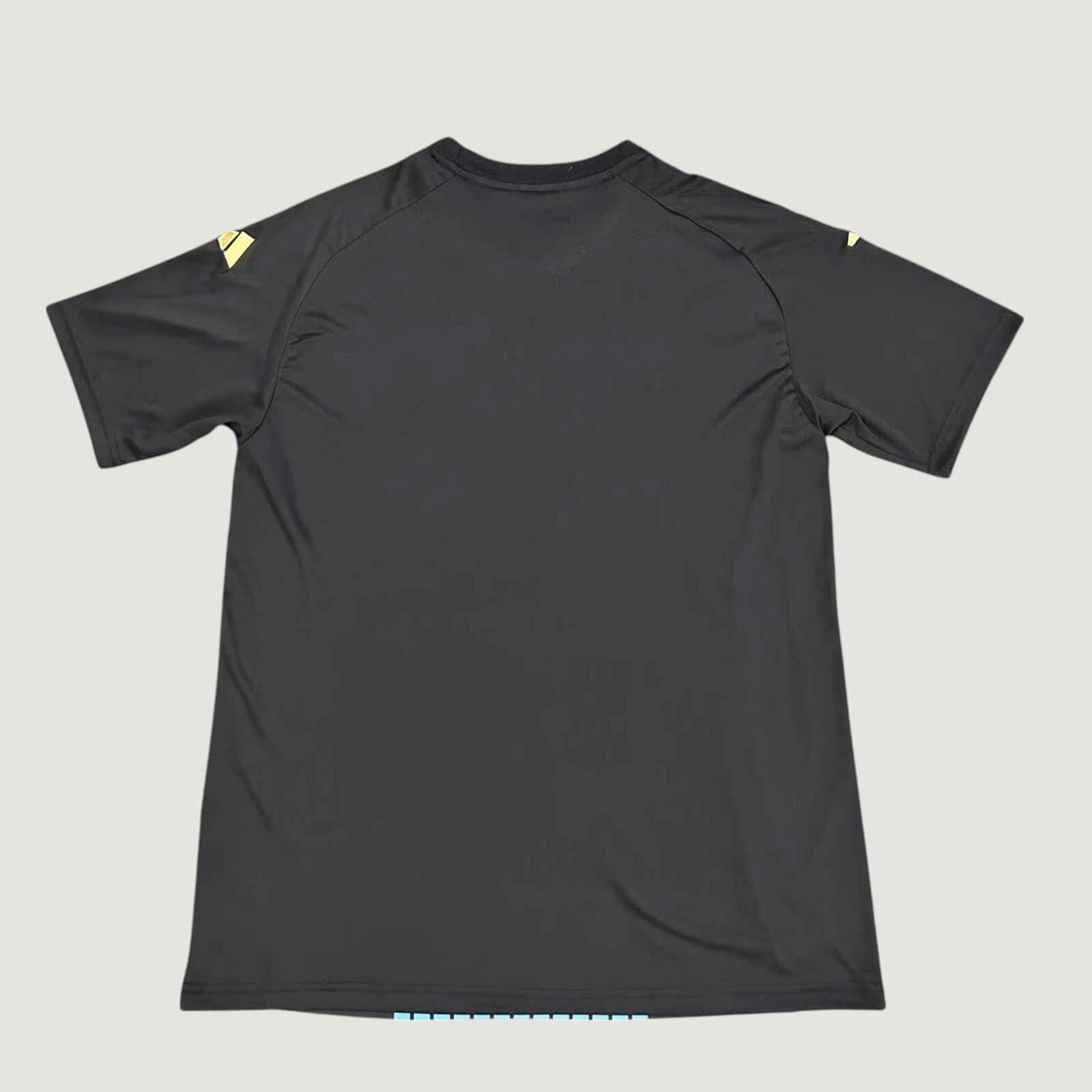 Germany - Pre-Match Training Jersey 24/25